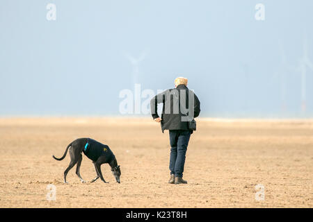 Southport, Merseyside, 30. August 2017. UK Wetter. Einen kühlen und bewölkten Start in den Tag über den Nordwesten von England als Hund Wanderer nehmen Ihre geliebten Haustiere für einige Frühsport am Strand in Southport, Merseyside. Credit: cernan Elias/Alamy leben Nachrichten Stockfoto