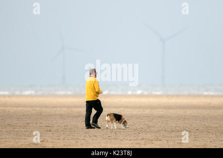 Southport, Merseyside, 30. August 2017. UK Wetter. Einen kühlen und bewölkten Start in den Tag über den Nordwesten von England als Hund Wanderer nehmen Ihre geliebten Haustiere für einige Frühsport am Strand in Southport, Merseyside. Credit: cernan Elias/Alamy leben Nachrichten Stockfoto