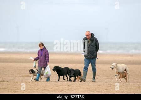 Southport, Merseyside, 30. August 2017. UK Wetter. Einen kühlen und bewölkten Start in den Tag über den Nordwesten von England als Hund Wanderer nehmen Ihre geliebten Haustiere für einige Frühsport am Strand in Southport, Merseyside. Credit: cernan Elias/Alamy leben Nachrichten Stockfoto