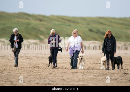 Southport, Merseyside, 30. August 2017. UK Wetter. Ein kühles und über cast Start in den Tag über den Nordwesten von England als Dog Walker ihre geliebten Haustiere für einige Morgengymnastik am strand in Southport, Merseyside. Credit: cernan Elias/Alamy leben Nachrichten Stockfoto