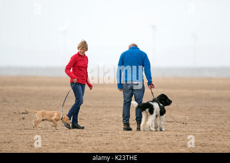 Southport, Merseyside, 30. August 2017. UK Wetter. Ein kühles und über cast Start in den Tag über den Nordwesten von England als Dog Walker ihre geliebten Haustiere für einige Morgengymnastik am strand in Southport, Merseyside. Credit: cernan Elias/Alamy leben Nachrichten Stockfoto