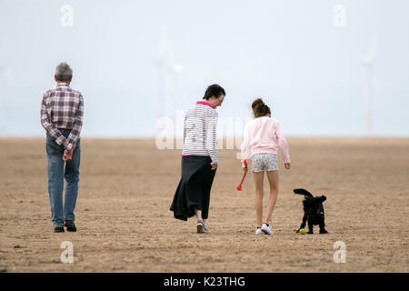 Southport, Merseyside, 30. August 2017. UK Wetter. Ein kühles und über cast Start in den Tag über den Nordwesten von England als Dog Walker ihre geliebten Haustiere für einige Morgengymnastik am strand in Southport, Merseyside. Credit: cernan Elias/Alamy leben Nachrichten Stockfoto