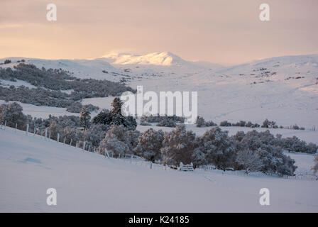 Ländliche Landschaft Landschaft zu Grumby Rock entlang Strath brora im dicken Schnee an einem Wintertag, Rogart, Sutherland, Highlands, Schottland, Großbritannien Stockfoto