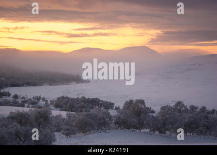 Ländliche Landschaft Landschaft auf Grumby Rock entlang Strath brora im dicken Schnee auf einer klaren sonnigen Wintertag, Rogart, Sutherland, Highlands, Scot Stockfoto