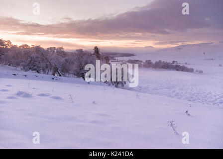 Ländliche Landschaft Landschaft im dicken Schnee auf einer klaren sonnigen Wintertag, Rogart, Sutherland, Highlands, Schottland, UK Stockfoto