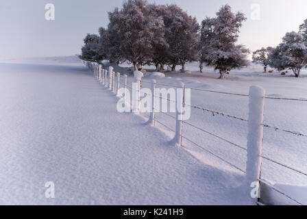 Ländliche Landschaft Landschaft mit Zaun im dicken Schnee auf einer klaren sonnigen Wintertag, Rogart, Sutherland, Highlands, Schottland, Großbritannien Stockfoto