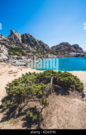 Italien: Einige der sardischen Schönheiten dargestellt, während der Sommermonate Stockfoto