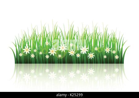 Grüne Wiesen mit Blumen auf weißem Hintergrund. Quelle v Stock Vektor