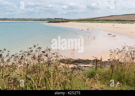 Hawker's Cove auf dem Kamel Mündung in der Nähe von Padstow, Cornwall an einem Sommertag. Stockfoto