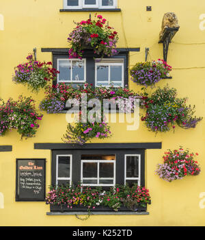 Blumenkästen und Ampeln zieren diesen schönen Gelb lackiert Pub außen in Padstow, Cornwall Stockfoto