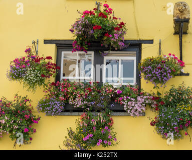 Blumenkästen und Ampeln zieren diesen schönen Gelb lackiert Pub außen in Padstow, Cornwall Stockfoto