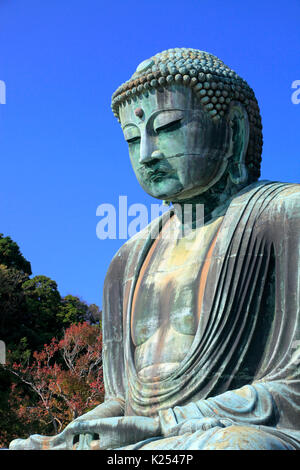 Der große Buddha von Kamakura an Kotokuin Tempel in Kamakura Stadt Kanagawa Japan Stockfoto