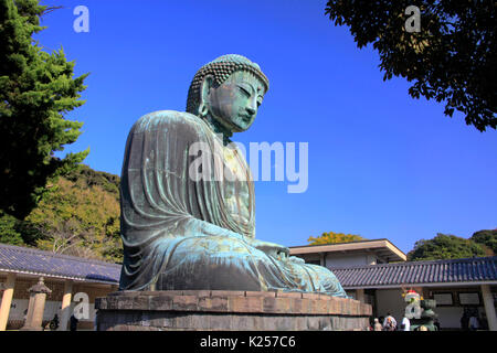 Der große Buddha von Kamakura an Kotokuin Tempel in Kamakura Stadt Kanagawa Japan Stockfoto