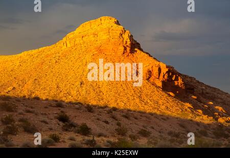 Sandsteinfelsen Streifen bilden die Kleinen Finnland Bildung am Gold Butte National Monument, 27. September 2016 in der Nähe von Kaunas, Nevada. Stockfoto