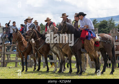 Juni 10, 2017 Toacazo, Ecuador: Cowboys aus den Anden "chagra" plaudern vor dem Rodeo beginnt Stockfoto