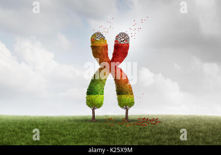 Telomere Altern länge Verlust Health Concept mit DNA und die Verkürzung der Telomere medizinische Idee als ein grüner Baum rückläufigen mit fallenden roten Blätter. Stockfoto