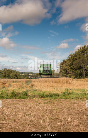 Großbritannien Landwirtschaft, Saatgut Weizen Ernte bei Wycliffe, Teesdale mit Kopie Raum Stockfoto