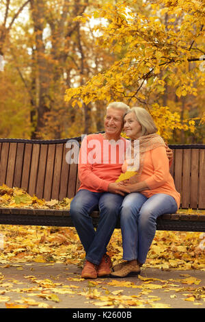 Ältere Paare sitzen auf Holzbank in Park Stockfoto