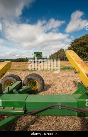 Großbritannien Landwirtschaft, Saatgut Weizen Ernte bei Wycliffe, Teesdale mit Kopie Raum Stockfoto
