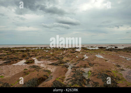 Große britische Küsten, der Darstellung der schönen Jurassic Coast, in der Nähe von Sidmouth Devon auf stürmischer Sommertag, Ft. Big Streikposten, Mann Gottes und die Gießpfanne Felsen. Stockfoto