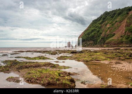 Große britische Küsten, der Darstellung der schönen Jurassic Coast, in der Nähe von Sidmouth Devon auf stürmischer Sommertag, Ft. Big Streikposten, Mann Gottes und die Gießpfanne Felsen. Stockfoto