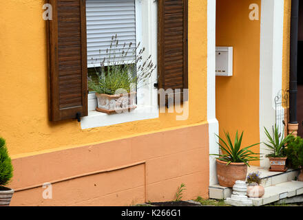 Topfpflanzen auf der Fensterbank und Tür bold Gold bemalt Europäische Haus Stockfoto