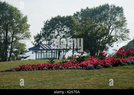 27. August 2017, Blumenbeeten und einem Tierheim in Southend On Sea, Essex, England. Stockfoto