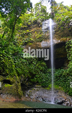 La Sierpe Wasserfall, Nationalen Naturpark Uramba, Bahia Malaga, Kolumbianische Pazifikküste Stockfoto