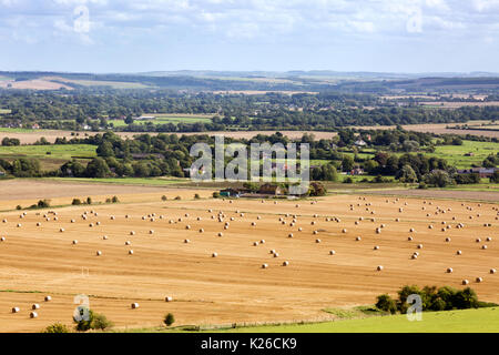 Das Tal von Pewsey, Wiltshire, oder Pewsey Vale; - Landschaft von cliffords Hill, Pewsey Vale, Wiltshire England UK gesehen Stockfoto