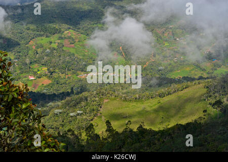 Fragmentierte Cloud Forest site von San Antonio auf der westlichen Anden Kolumbiens Stockfoto