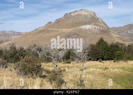 Vista Valle Chacabuco Patagonia Park Chile Stockfoto