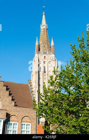 Sint-Salvator-Kathedrale am sonnigen Tag in Brügge, Belgien. Stockfoto