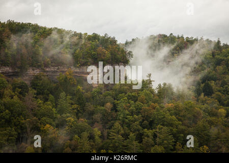 Felsen von Devil's Canyon Overlook in Kentucky Red River Gorge Geological Area gesehen. Stockfoto