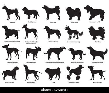 Vektor einrichten verschiedener Rassen hunde Silhouetten in schwarzer Farbe auf weißem Hintergrund. Teil 3 Stock Vektor