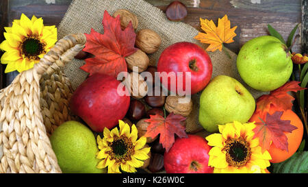 Herbst Herbst Overhead mit Früchten der Saison und die Muttern auf ein rustikales Holz Hintergrund. Stockfoto