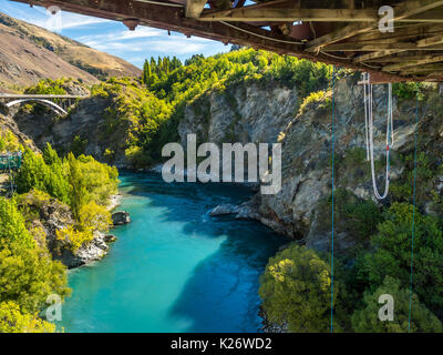 Bungee Jumping, Kawarau Hängebrücke, Kawarau Gorge Schlucht, Kawarau River, Destrict Queenstown Lake, Region Otago Stockfoto