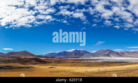 Blick auf die Lagune Altiplano Salar de Talar in Chile San Pedro de Atacama Stockfoto