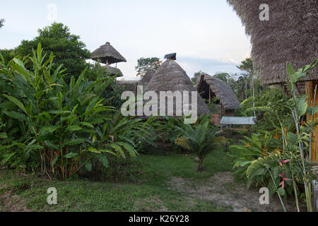 Juni 6, 2017 Misahualli, Ecuador: eco Gebäude aus Bambus im Amazonasgebiet gemacht Stockfoto