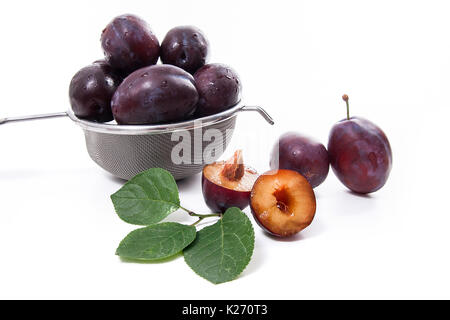 Stahl mit Fettaufsaugendem Süsse saftige Pflaumen, ganze und halbe reife Pflaumen mit Blatt vor dem Sieb auf einem weißen Hintergrund. Stockfoto