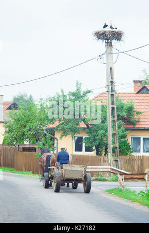 Blick in Rumänien. Storchennest auf der Pole und alte Kutsche mit Pferd auf der Straße Stockfoto