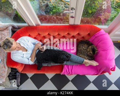 Eine Frau neigt sich auf ein helles, rotes Sofa mit ihrem Hund und Katze auf Ihrem Schoß, an ihrem Handy suchen Stockfoto