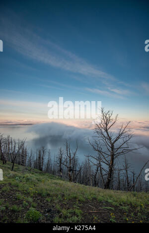 Yellowstone Landschaft Stockfoto