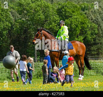 Polizei Frau reiten Bay Horse spielen Spiel von Horse Fußball mit einer Gruppe von Kindern in ländlicher Umgebung in der Nähe von Metal in Northumberland, England Stockfoto