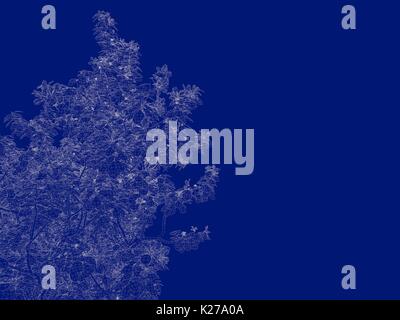 3D-Rendering von einem Umrandeten bush Blueprint auf blauem Hintergrund isoliert Stockfoto