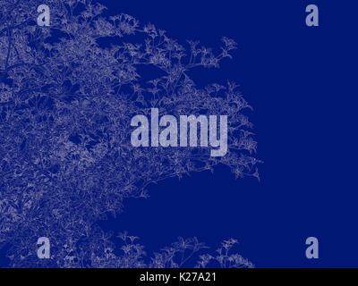 3D-Rendering von einem Umrandeten Baum blueprint auf blauem Hintergrund isoliert Stockfoto