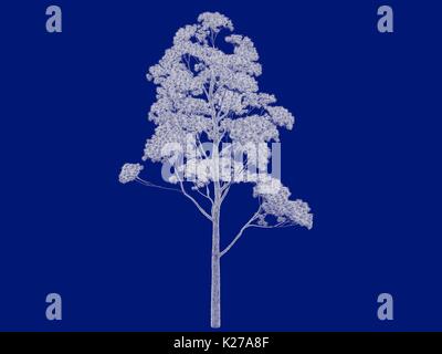 3D-Rendering von einem Umrandeten Baum blueprint auf blauem Hintergrund isoliert Stockfoto