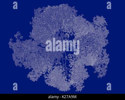 3D-Rendering von einem Umrandeten Baum blueprint auf blauem Hintergrund isoliert Stockfoto