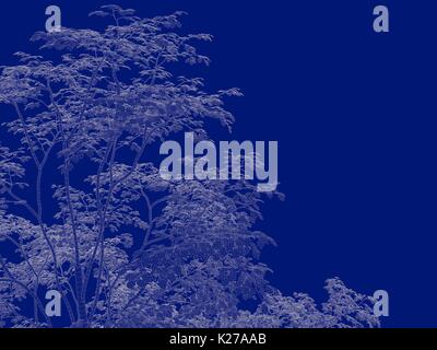 3D-Rendering von einem Umrandeten Baum blueprint auf blauem Hintergrund isoliert Stockfoto