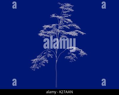 3D-Rendering von einem Umrandeten Baum blueprint auf blauem Hintergrund isoliert Stockfoto