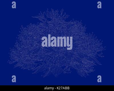 3D-Rendering von einem Umrandeten Baum blueprint auf blauem Hintergrund isoliert Stockfoto